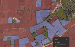 Công nghệ 25/10: Google đưa API ứng dụng mô hình AI cho Nông nghiệp đến Việt Nam