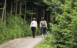 Khi thiên nhiên trở thành liệu pháp phục hồi, tái tạo cơ thể