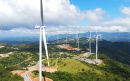 Quảng Trị chấp thuận 2 dự án điện gió tổng vốn 3.500 tỷ đồng