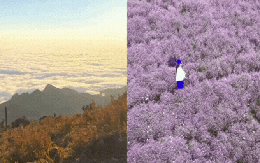 Chinh phục "thiên đường mây" Tà Chì Nhù mùa hoa chi pâu, chiêm ngưỡng vẻ đẹp tinh khôi của núi rừng Tây Bắc