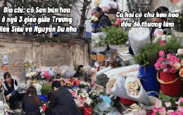 Không cần lên chợ hoa Quảng Bá: Có một “tọa độ hoa rẻ đẹp” đang khiến dân Hà Nội rần rần kéo đến check-in, mua vài bó là có ảnh nghìn like!