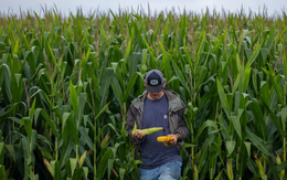 Chưa ‘hoàn hồn’ vì đòn giáng từ quốc gia BRICS, ngành chiến lược của Mỹ rung chuyển vì vụ thu hoạch kỷ lục, nông dân đối mặt nợ nần vì không có lãi