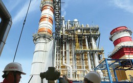 Hàng loạt công ty điện báo lãi lớn