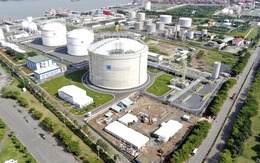 Chưa từng có: Một doanh nghiệp Việt cùng lúc xác lập 3 kỷ lục quốc gia