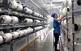 'Cú đấm' của tỷ giá khiến công ty sợi trên sàn giảm 87% lợi nhuận trong quý 3