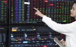 Chứng khoán tuần tới: Nhà đầu tư lưu ý điều này sau tuần "sóng gió" của VN-Index