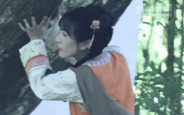 Không thể chấp nhận đây là Tiểu Yến Tử