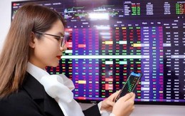 TCBS, VPBankS, VPS IPO kích hoạt làn sóng tái định giá nhóm chứng khoán, VNDirect chỉ tên những mã hưởng lợi nhất