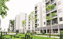 Từ chính sách an sinh đến tầm nhìn đô thị nhân văn