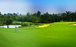 Một công ty liên kết của TNG giải thể