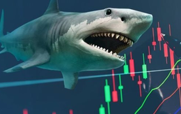 Cổ phiếu FPT và một mã ngân hàng có thể được loạt cá mập tổng quy mô 14.000 tỷ "săn lùng" trong kỳ cơ cấu quý 4