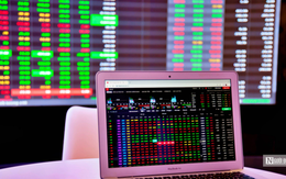 Thành Nam Group giải trình về việc cổ phiếu TNI tăng trần 5 phiên liên tiếp Thành Nam Group giải trình về việc cổ phiếu TNI tăng trần 5 phiên liên tiếp