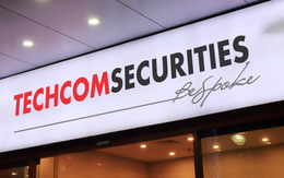 Vợ Giám đốc chi nhánh Chứng khoán TCBS muốn bán toàn bộ cổ phiếu TCX