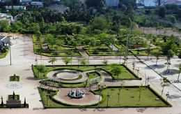 'Vòi bạch tuộc' của Chủ tịch Công ty Cây xanh Công Minh đang bị truy nã đặc biệt