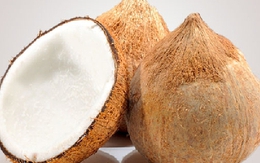 Bất ngờ với giá dừa khô ở miền Tây