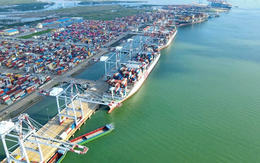 Viconship lãi 456 tỷ đồng sau 9 tháng đầu năm, tăng gần 50% so với cùng kỳ