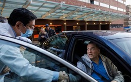 Thí nghiệm ghép thận lợn trên người ở Mỹ lập kỷ lục: Bệnh nhân sống khỏe 271 ngày trước khi phải cắt bỏ tạng, quay lại lọc máu