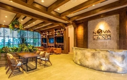 Vì sao Novaland lỗ nghìn tỷ?