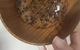 3 loại bát huỷ hoại sức khoẻ vì chứa "ổ độc tố"