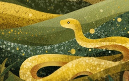 Tuổi Tỵ làm gì để quý nhân “tự tìm đến gõ cửa”: Đọc xong áp dụng ngay, vận may bùng nổ