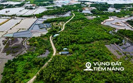 Hòn đảo chỉ cách trung tâm Vũng Tàu 3 km từng được đề xuất làm sân bay, nay có thể trở thành khu đô thị mới của Sun Group