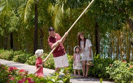 Ốc đảo xoài giữa lòng Đà Nẵng – Kỳ nghỉ gia đình đầy cảm hứng cuối năm