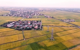 Hoàn thành thay thế cách điện đường dây 220kV mạch kép Thái Bình – Tiền Hải – Trực Ninh