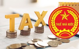 Hơn 31.000 doanh nghiệp TPHCM nợ hơn 25.000 tỷ tiền thuế: Những 'ông lớn' nào đang dẫn đầu danh sách?