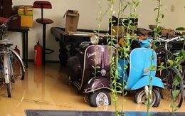 Cận cảnh ngôi nhà ca sĩ Ánh Tuyết ở Đà Nẵng ngập nặng