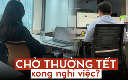 Cố đi làm chỉ vì thưởng Tết