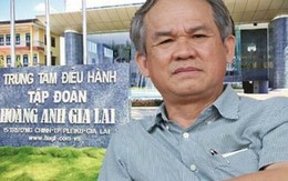 Hoàng Anh Gia Lai của Bầu Đức bắt đầu trồng cà phê