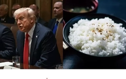 Thông điệp từ bát cơm trong bữa trưa của Tổng thống Mỹ Trump ở Tokyo