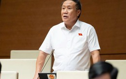 Đại biểu Quốc hội: Tại sao người dân phải đi photocopy sổ đỏ để nộp?