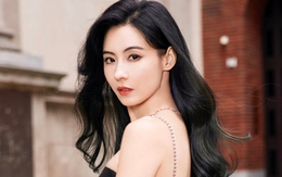 Vạch mặt người “chống lưng” cho Trương Bá Chi