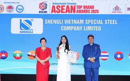 Thép Shengli đạt Top 10 sản phẩm dịch vụ xanh tại ASEAN 2025