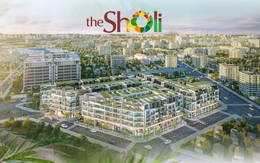 Chọn lối đi khác biệt, tâm tư của người kiến tạo the Sholi