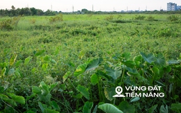 Thay bạn đi xem khu đất sẽ xây dự án nhà ở xã hội lớn nhất Thủ đô: Dự kiến sẽ có gần 7.000 căn hộ, sát công viên 100 ha của Sun Group