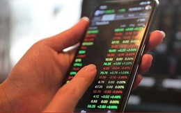 Công an Hải Phòng cảnh báo thủ đoạn lừa đảo đầu tư tài chính, tiền ảo qua mạng