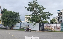 'Choáng' với giá chung cư ở tỉnh lẻ 'nhảy múa' lên đến 80 triệu đồng/m2