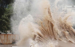 Bão Matmo tối nay vào Biển Đông