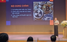 Chuyên gia nói về lùm xùm liên quan dự án Antex của Shark Bình