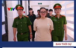 Vì sao Hoàng Hường bị bắt?