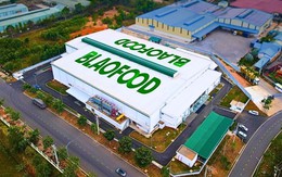 Công ty Việt Nam đầu tiên xuất khẩu rau củ đông lạnh muốn niêm yết  trên HOSE, giá cổ phiếu vượt đỉnh lịch sử