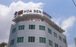 Tập đoàn Hoa Sen (HSG) bất ngờ giải thể một công ty liên kết