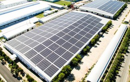 Bamboo Capital và Tracodi xin lỗi cổ đông khi cổ phiếu bị đình chỉ