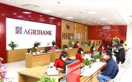 Lãi suất ngân hàng Agribank tháng 10/2025: Kỳ hạn nào có lãi suất cao nhất?