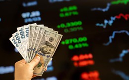 Chủ động nắm bắt tỷ giá – giải pháp tài chính thông minh từ Sacombank