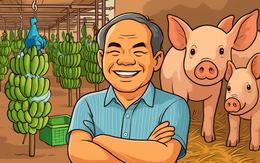 Chân dung 2 DN nghìn tỷ của Hoàng Anh Gia Lai muốn niêm yết năm 2026, 2027: Có công ty được chuyển 300 tỷ tiền nợ thành vốn góp