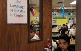 Từ năm 2025, học sinh Việt Nam bắt buộc học ngôn ngữ này từ lớp 1: Gen Alpha sắp nói tiếng nước ngoài ngay khi biết bảng chữ cái!