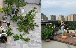 Penthouse – giấc mơ sang chảnh biến thành “địa ngục trên cao”: Tôi đã sống và hối hận!